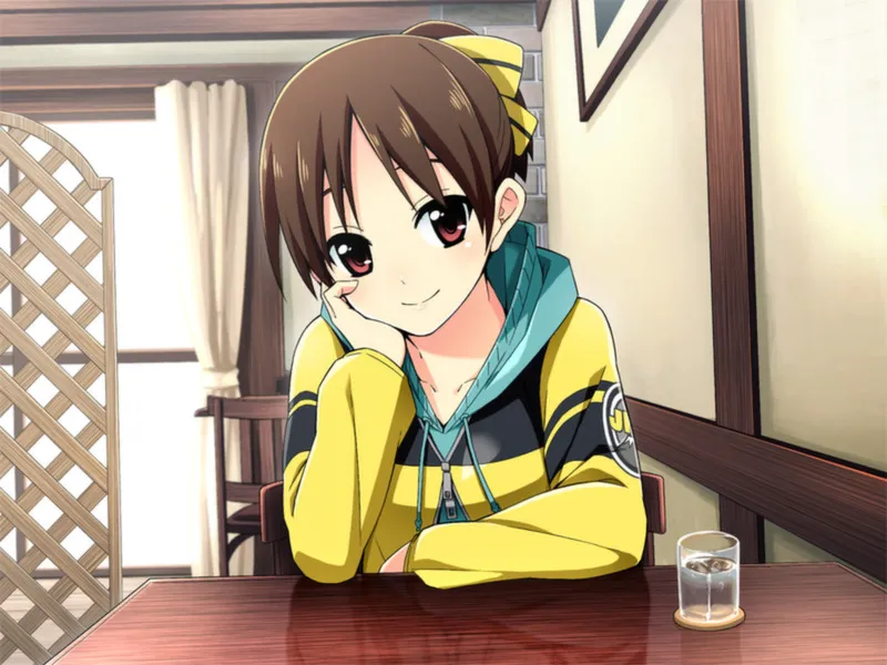 Go! Go! Nippon! ~My First Trip to Japan~ (Steam key / РФ+Весь Мир)