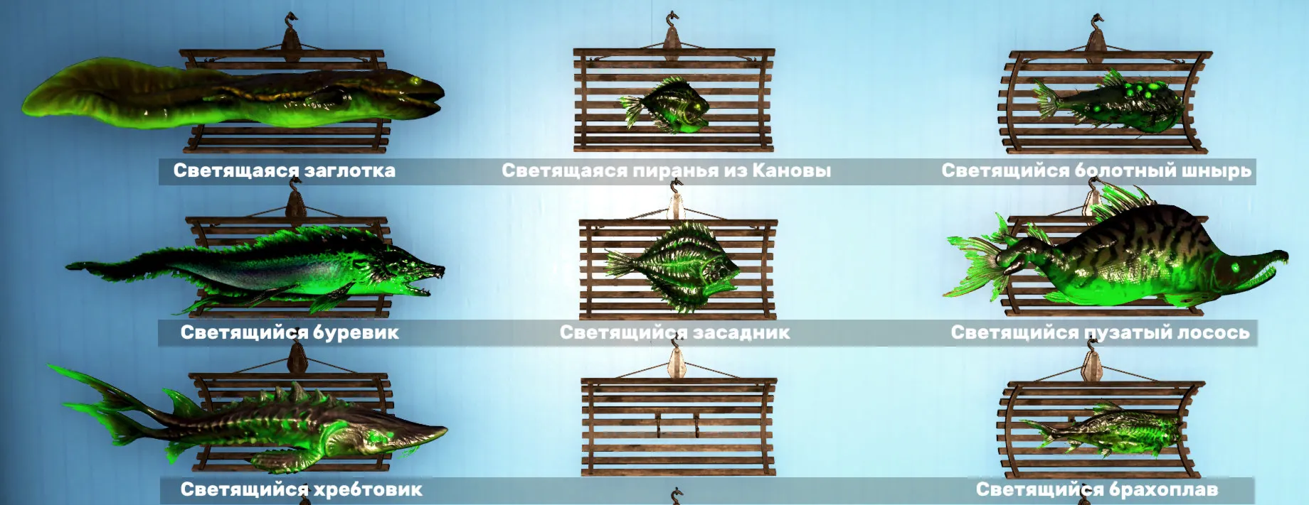 🐠 Вся рыба для витрины - 12 аксолотлей и 44 рыбы на витрину 🐟 