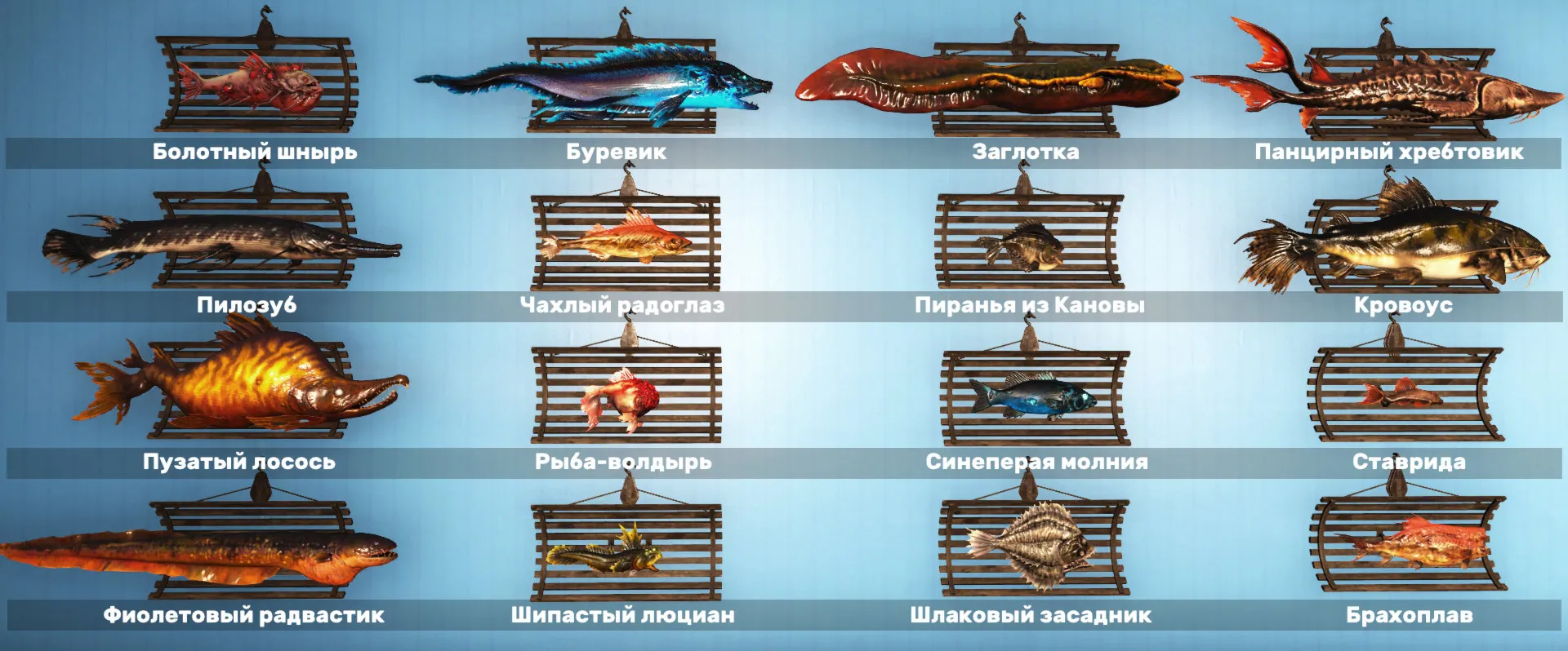 🐠 Вся рыба для витрины - 12 аксолотлей и 44 рыбы на витрину 🐟 