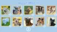 Cute Dogs (STEAM KEY/REGION FREE) - irongamers.ru