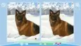 Cute Dogs (STEAM KEY/REGION FREE) - irongamers.ru
