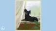 Cute Dogs (STEAM KEY/REGION FREE) - irongamers.ru