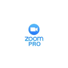 Zoom Pro/Business 1/12 Months - irongamers.ru