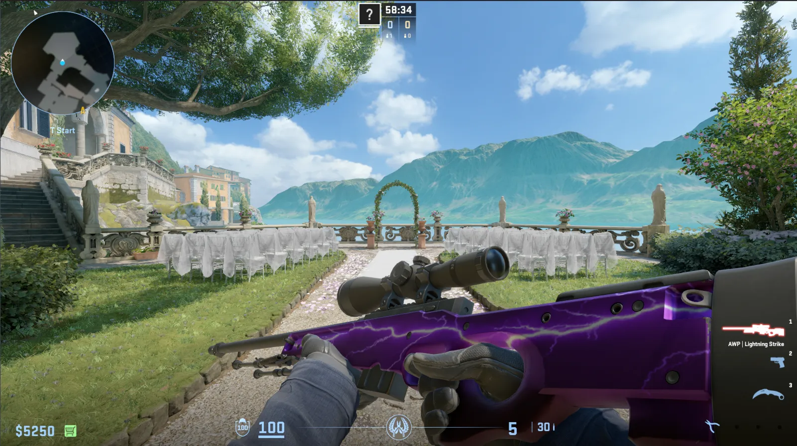 Phoenix CS2 (Inventory)