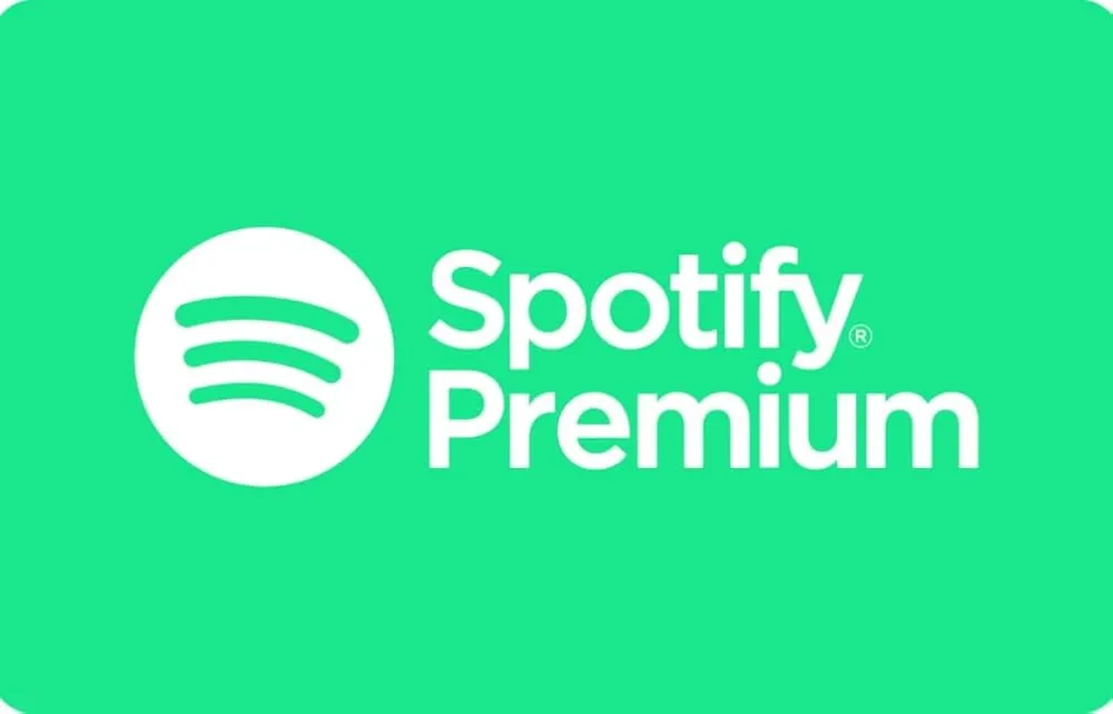 Spotify PREMIUM INDIVIDUAL 12 MONTHS - irongamers.ru