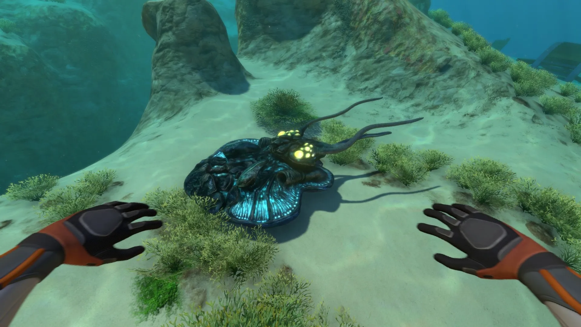 Subnautica - Switch 2 Edition | Nintendo Switch 2