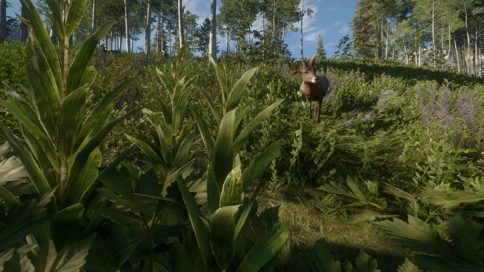 theHunter: Call of the Wild™ - Silver Ridge Peaks DLC Steam ключ