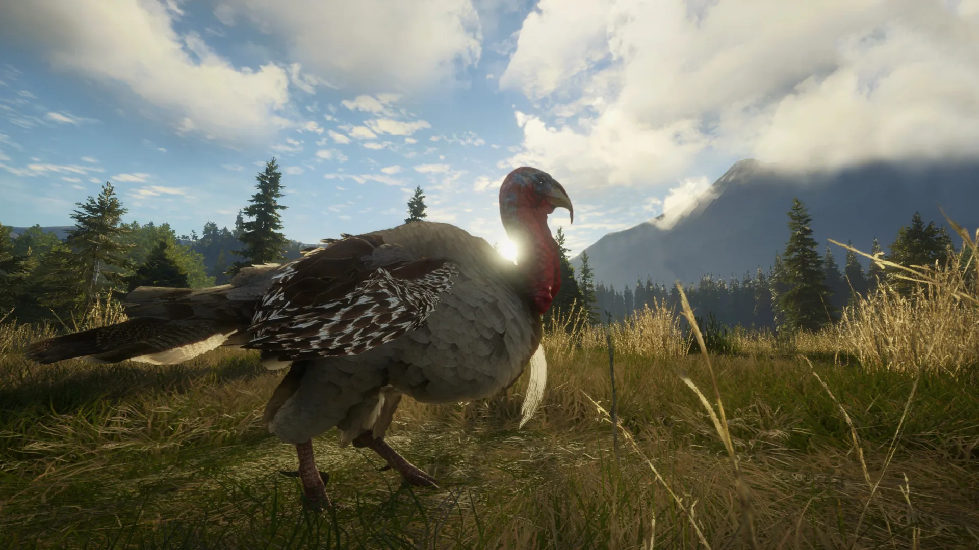theHunter: Call of the Wild™ - Silver Ridge Peaks DLC Steam ключ