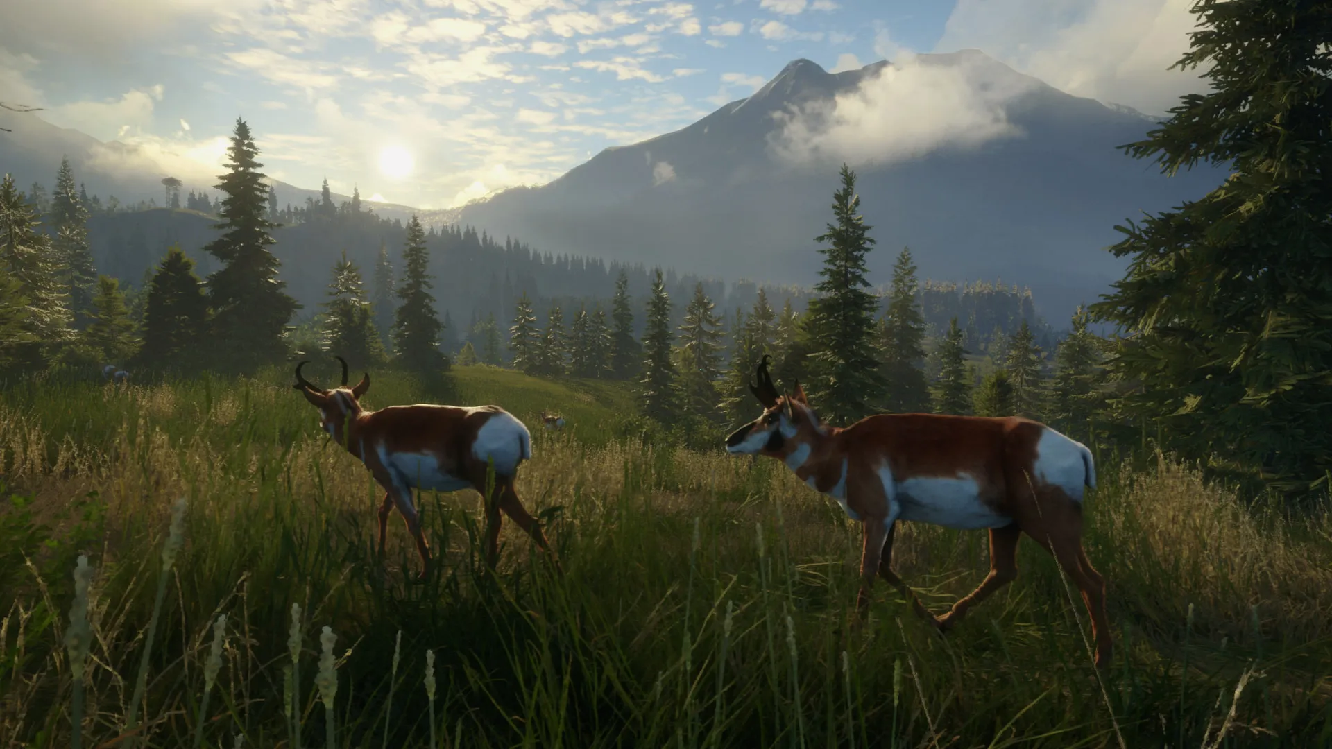theHunter: Call of the Wild™ - Silver Ridge Peaks DLC Steam ключ