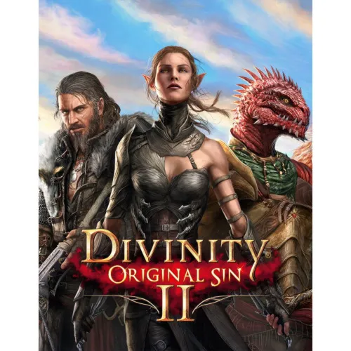 Divinity: Original Sin 2 Новый Игровой Аккаунт - irongamers.ru