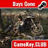 Купить Days Gone | Offline | Steam на 90 дней