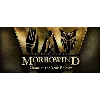 Купить The Elder Scrolls III: Morrowind Game of the Year Edit