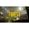 Купить The Forest (БЕЗ АКТИВАТОРА / STEAM ОФФЛАЙН)