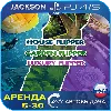 Купить House Flipper - Luxury Garden (PS4/PS5) RUS | Аренда 🔰