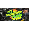 Купить My Summer Car 🚗 Смена данных 👑 Полный доступ