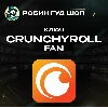 Купить ⚡ ️КЛЮЧ CRUNCHYROLL FAN ⚡ ️1-12 МЕСЯЦЕВ 🧚 🏻 ‍ ♀ ️РФ/МИР