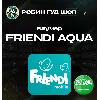 Купить ESIM ВАУЧЕР FRiENDi AQUA/ SAR 15-115 /САУДОВСКАЯ АРАВИЯ