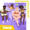 Купить 🔴 The Sims™ 4 Simtimates Collection Kit ✅ EGS DLC 🔴 (