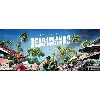 Купить Dead Island 2 - Оффлайн