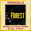 Купить The Forest PS4/PS5/PS Турция/Украина