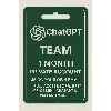 Купить ChatGPT Plus Team 1 Month Private Account