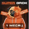 Купить 🍟 SUPER GROK | 1 месяц | Личный аккаунт