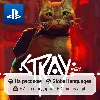 Купить Stray (PS4/PS5) | П2-П3