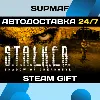 Купить STALKER: Shadow of Chernobyl | STEAM GIFT | RU・KZ・UA・BY・CIS