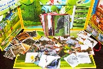 Лэпбук экология электронные макеты