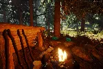 Ark Survival Evolved + Conan Exiles + The Forest |STEAM - irongamers.ru