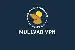 🌐 Mullvad  - 6 / 12 Месяцев - Код пополнения - АВТО