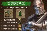 Wild Terra Online Esquire Pack Steam Key ( Global ) - irongamers.ru