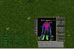 Ultima online - Олмер онлайн "Unicorn shirt"