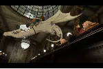 LEGO Harry Potter: Years 5-7 (Steam Gift | Region Free)