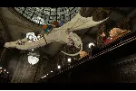 LEGO Harry Potter: Years 5-7 (Steam Gift Region Free)