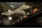 LEGO Harry Potter Years 57 (steam key) - irongamers.ru