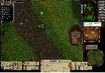 Ultima online - Олмер онлайн Власть