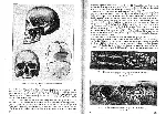 Немецкие тетради Аненербе - архив 1933-1944 годов - irongamers.ru