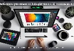 CV/резюме Modern Minimal — Figma - irongamers.ru