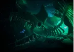 КЛЮЧ Darwin's Paradox! XBOX, Handheld, PC(не steam) Код
