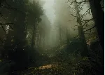 КЛЮЧ The Occultist XBOX Код