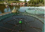 КЛЮЧ Farming Simulator 25 Highlands Fishing Expansion XBOX Код