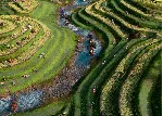 КЛЮЧ Age of Empires IV Yue Fei&acute;s Legacy XBOX Код - irongamers.ru