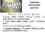 Анатомия зубов человека - irongamers.ru