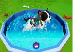 КЛЮЧ Cute Puppy Academy XBOX Код - irongamers.ru