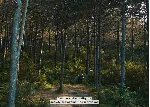 Agarta | Xbox Ключ/Код - irongamers.ru