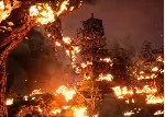Black Myth: Wukong Deluxe | Xbox Series X|S Ключ/Код - irongamers.ru