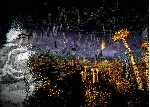 КЛЮЧ Particle Hearts XBOX Код