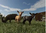 КЛЮЧ Farming Simulator 25: Year 1 Bundle XBOX Код