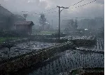 SILENT HILL f Xbox Series X|S Ключ/Код - irongamers.ru
